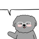 앤카포
