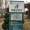 양재꽃시장 공기정화식물 여인초 구입 후기~♪