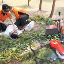 대원안경 이미지