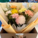 스테이인오아시스
