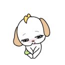 하이오프 이미지