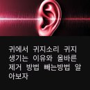 우리산성약국 | 귀에서 귀지소리 귀지 생기는 이유와 올바른 제거 방법 빼는방법 알아보자