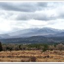 태흥목장 이미지