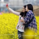 낙동연합의원 연합뉴스