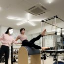 동탄 필라테스 더엘더스필라테스 1년 후기, 비용, 자세교정 효과