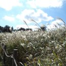 반여초등학교 이미지