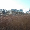 미소카센터 이미지