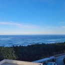 GS25 화양동해 | 강릉 바다뷰 숙소, 신라모노그램 레지던스 가든오션뷰 2박3일 숙박 후기