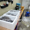 신미농산