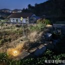 고란농장 이미지