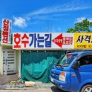아송테크 | 포천 놀거리 산정호수 애견동반 오리배 수변테크에서 산책하기