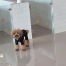멍블리하우스 이미지