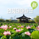 연꽃단지 공중화장실 | 경남 함안 여름 나들이 꽃구경 여행지 추천 가볼만한곳 연꽃테마파크