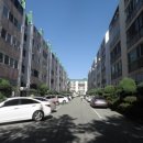 사파동407 이미지