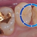 연세하이치과의원 이미지