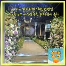 내동네거리(컨벤션웨딩홀) | 대구 파라다이스웨딩컨벤션 12월신부 결혼식 예식장추천 뷔페식사 주차