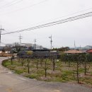 수월암2리마을회관 이미지