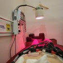 삼송명문한의원 이미지