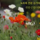 김기태법무사행정사 이미지