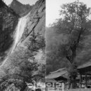 국립수목원 산림박물관 이미지