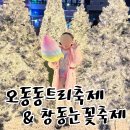 마산문화예술센터 시민극장 | 오동동트리축제 창동눈꽃축제 아이랑 창동 놀거리 주차정보