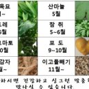 자운농장 이미지