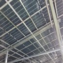 하니 태양광발전소 이미지