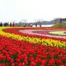 바다 그리고 이미지