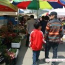 마전시장 이미지