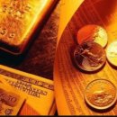 하비투스(Habitus) 이미지