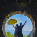 피노키오박물관(하슬라아트월드) | [공지] 강릉 가볼만한곳 하슬라아트월드 피노키오박물관 추천