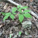 신산여관 이미지