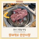 중앙동-18 | 안산 중앙동 고기집집 밤새먹소 내돈내산 솔직후기