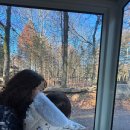 어린이공연 ‘굴개굴개 청개구리’ | [에버랜드] 아기와 에버랜드 후기_코스 및 식사