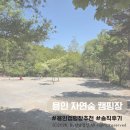 용인자연숲캠핑장 | [용인]서울근교캠핑장 "자연숲캠핑장" 어린이날 방문 후기