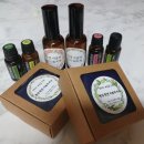 합송초등학교 이미지