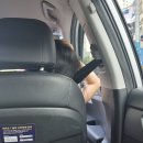 부산스러운 친구들과 부산 여행을 다녀온 부산이 처음인 사람(서면, 광안리 구석구석)