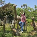 도원산장 이미지