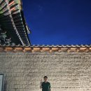 창경빌딩 | 서울가볼만한곳 창경궁 야간개장 직접 가보니 서울 야경 명소 끝판왕이었습니다