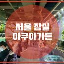 아쿠아수족관 이미지