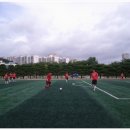 용 당구장 이미지
