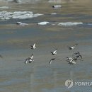 섬강축산 이미지