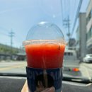 이디야 수박주스 생과일 후기 강릉터미널점