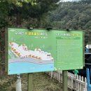 휴클럽 | [올챙이 캠핑] 네번째 이야기 : 강원도 평창 계곡 앞 오대천휴캠핑클럽 타프사이트 2번 후기