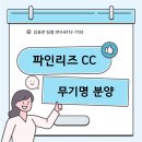 강원도 고성 파인리즈cc 무기명 4인 분양 안내(버치힐cc, 용평cc 이용 가능)