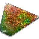 ammolite 이미지