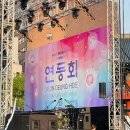 연등회 2025 연등행렬 &amp; 종로 연등 축제 후기 매년 서울 놀거리 추천