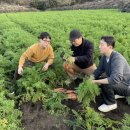 구좌농협농산물유통센터 한국경제