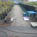 성목목장 이미지