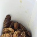빵이랑 커피랑